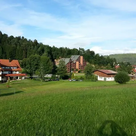 Schwarzwaldgrund Feiton شقة بيرسبرون